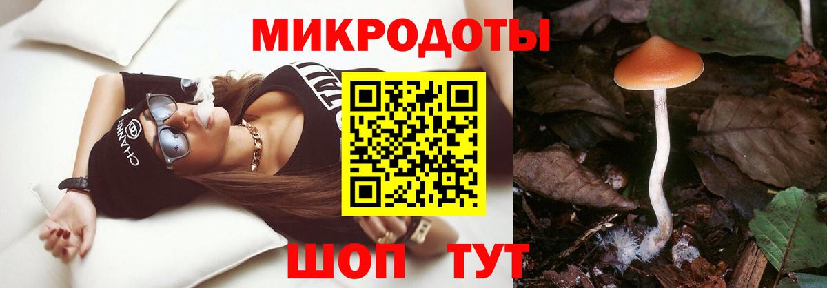 Галлюциногенные грибы Psilocybine cubensis Пугачёв